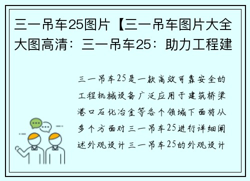 三一吊车25图片【三一吊车图片大全大图高清：三一吊车25：助力工程建设】