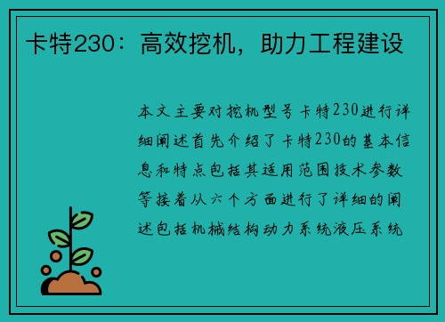 卡特230：高效挖机，助力工程建设