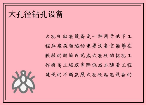 大孔径钻孔设备